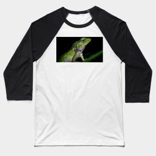 A close up of a changeable lizard (Calotes versicolor) Baseball T-Shirt